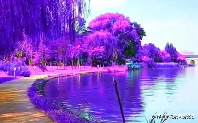梦想之森